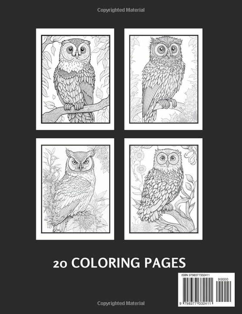 Large print owl coloring book for adults relaxation and stress relief for bird lovers press dd coloring books