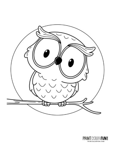 Whoos ready to color fun owl coloring pages clipart for young artists at