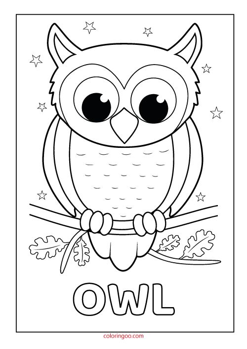 Owl printable coloring â drawing pages owl coloring pages owls drawing owl printables