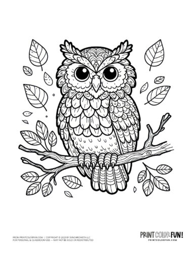 Whoos ready to color fun owl coloring pages clipart for young artists at