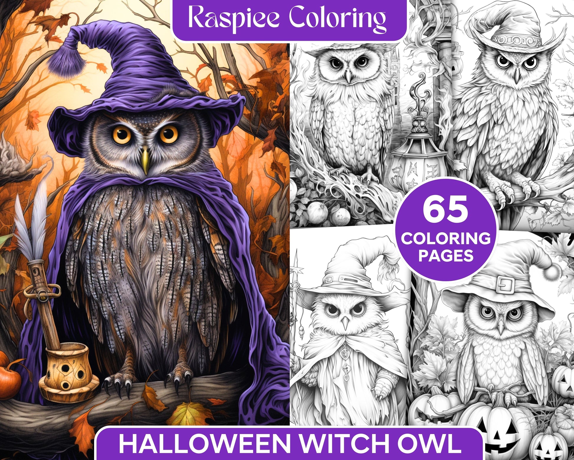 Halloween witch owl grayscale coloring pages for adults and kids prin â coloring