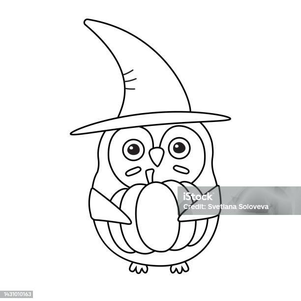 Vector flat cartoon halloween witch owl with pumpkin and hat silhouette stock illustration