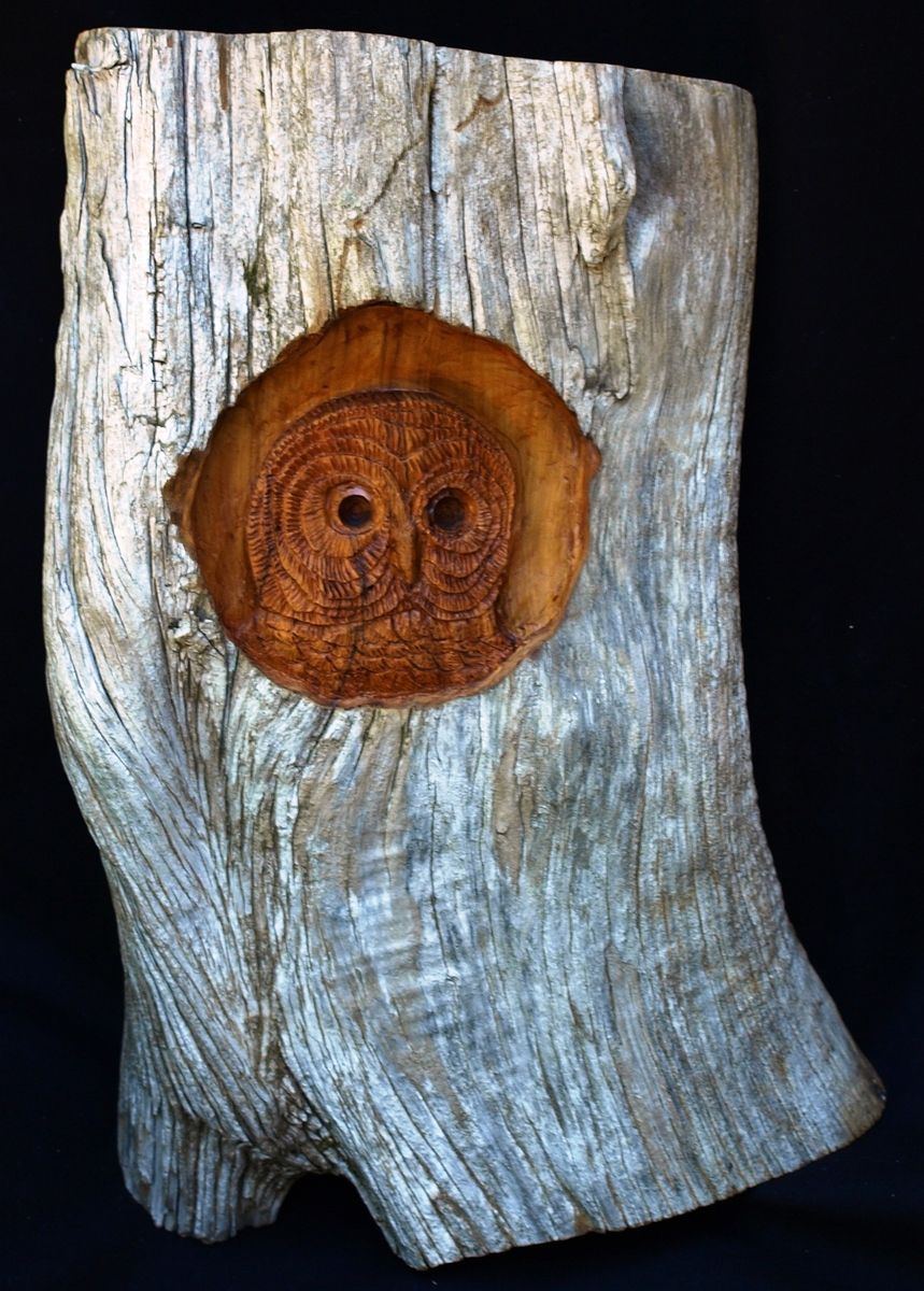 Hand made wood carving the owl in cedar by quotablewalkingstick