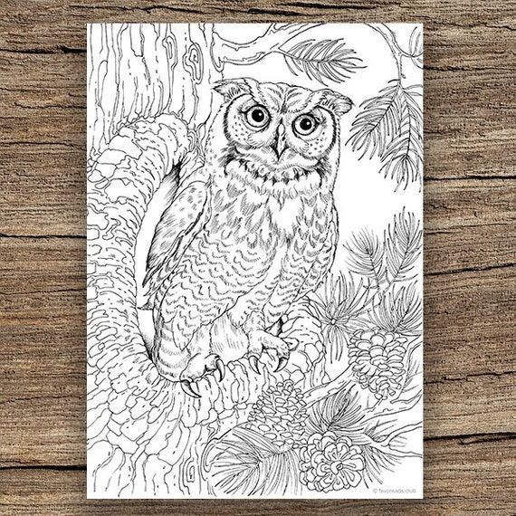 Owl printable adult coloring page from favoreads coloring book pages for adults and kids coloring sheets coloring designs