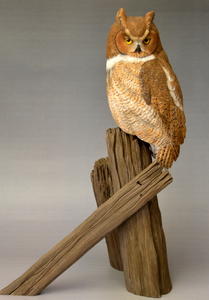 The great horned owl in miniature