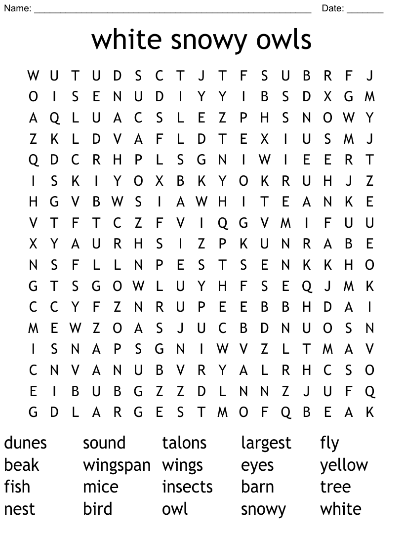 White snowy owls word search