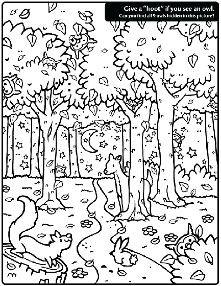 Hidden owl find coloring page