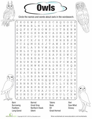 Owl word search owl activities owl owl facts