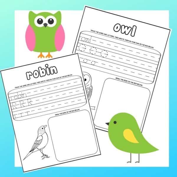 Free bird coloring pages bird word search bird watching for kids