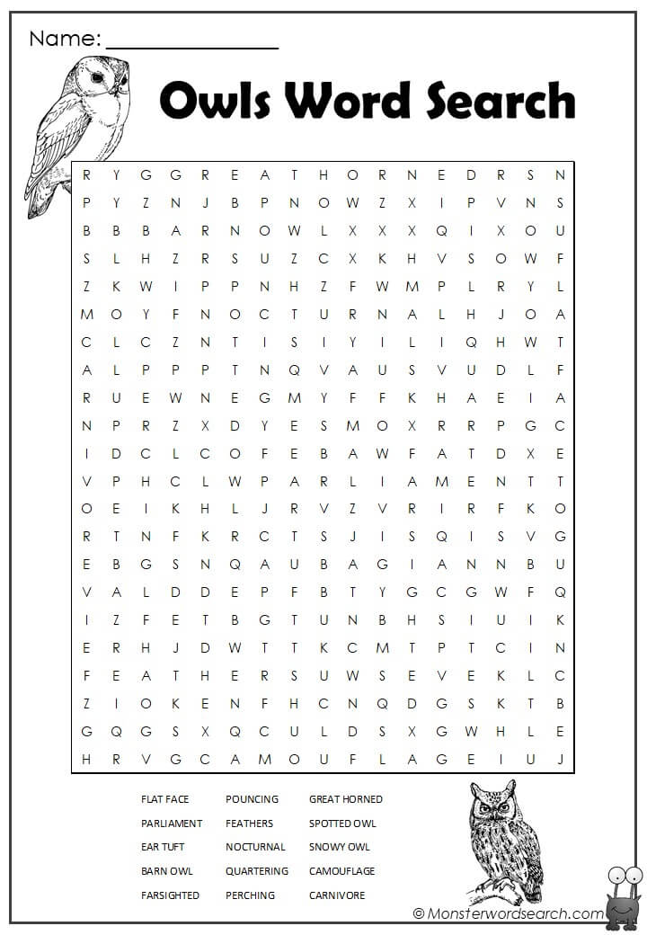 Owls word search