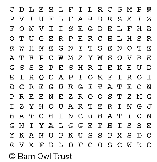 Owl wordsearch