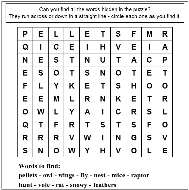 Adventures with mel syd owl word search