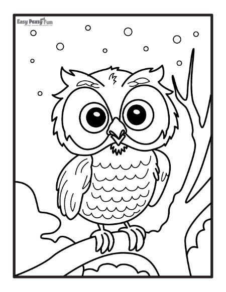 Owl coloring pages â printable sheets