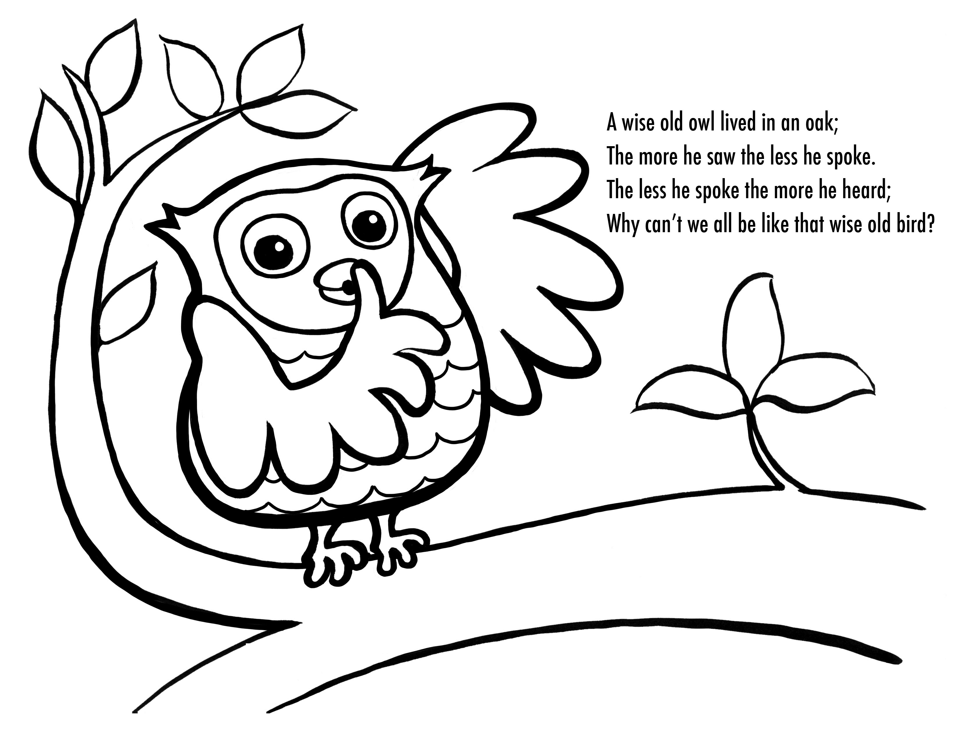 Free printable owl coloring pages for kids