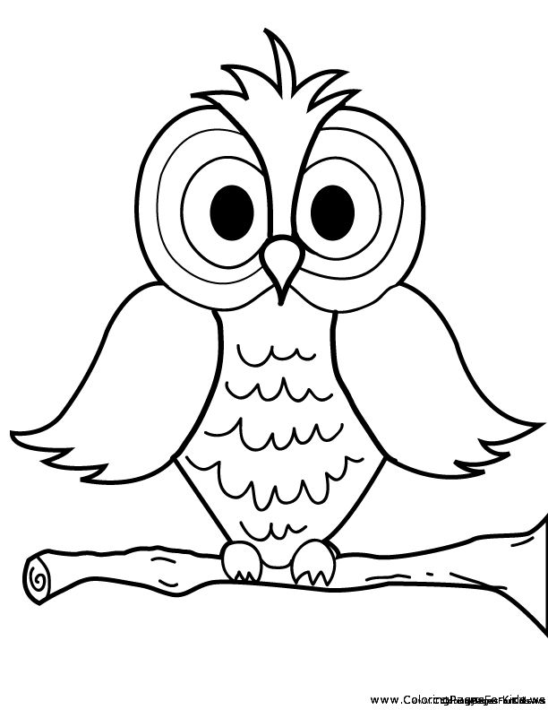 Cartoon owl coloring page owl coloring pages bird coloring pages owl cartoon