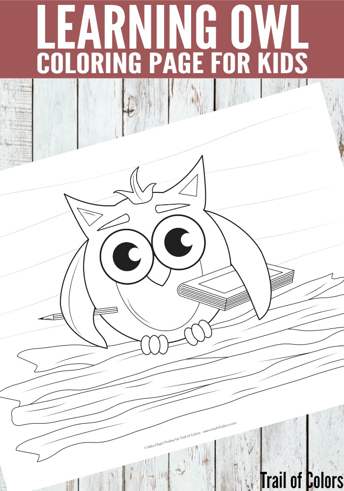 Owl coloring page for kids