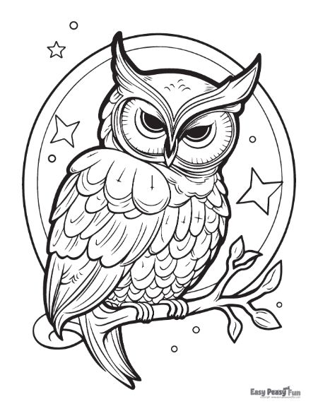 Owl coloring pages â printable sheets