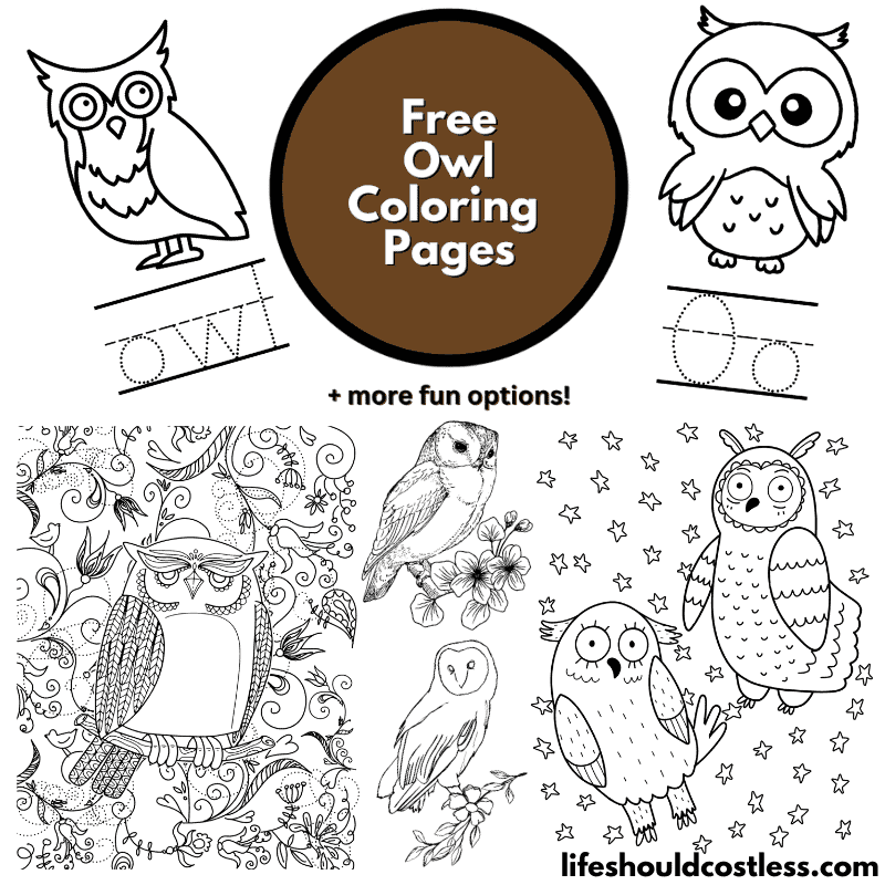 Owl coloring pages free printable pdf templates