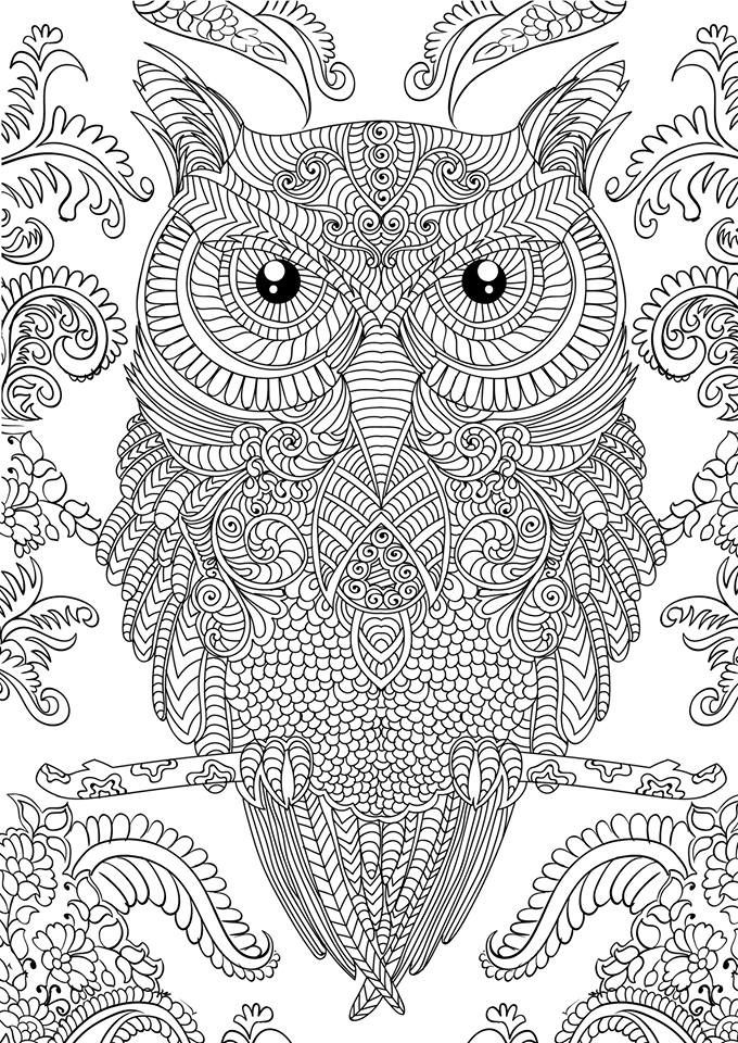 Owl coloring pages for adults owl coloring pages abstract coloring pages detailed coloring pages