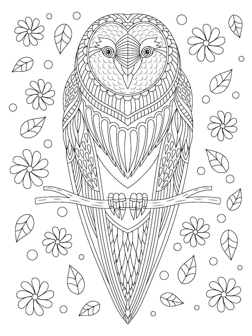 Owl coloring pages for adults