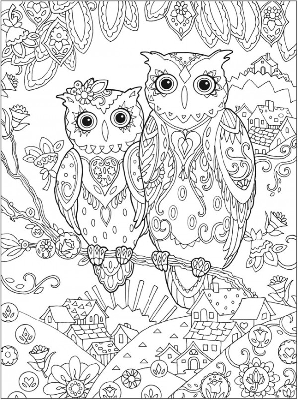 Owl coloring pages â