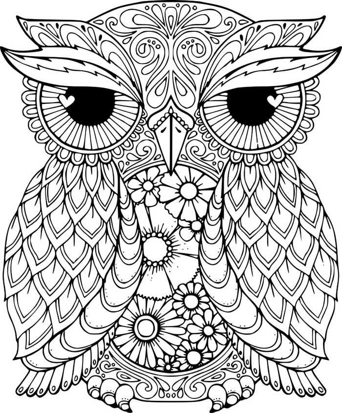 Owl coloring pages pdf download