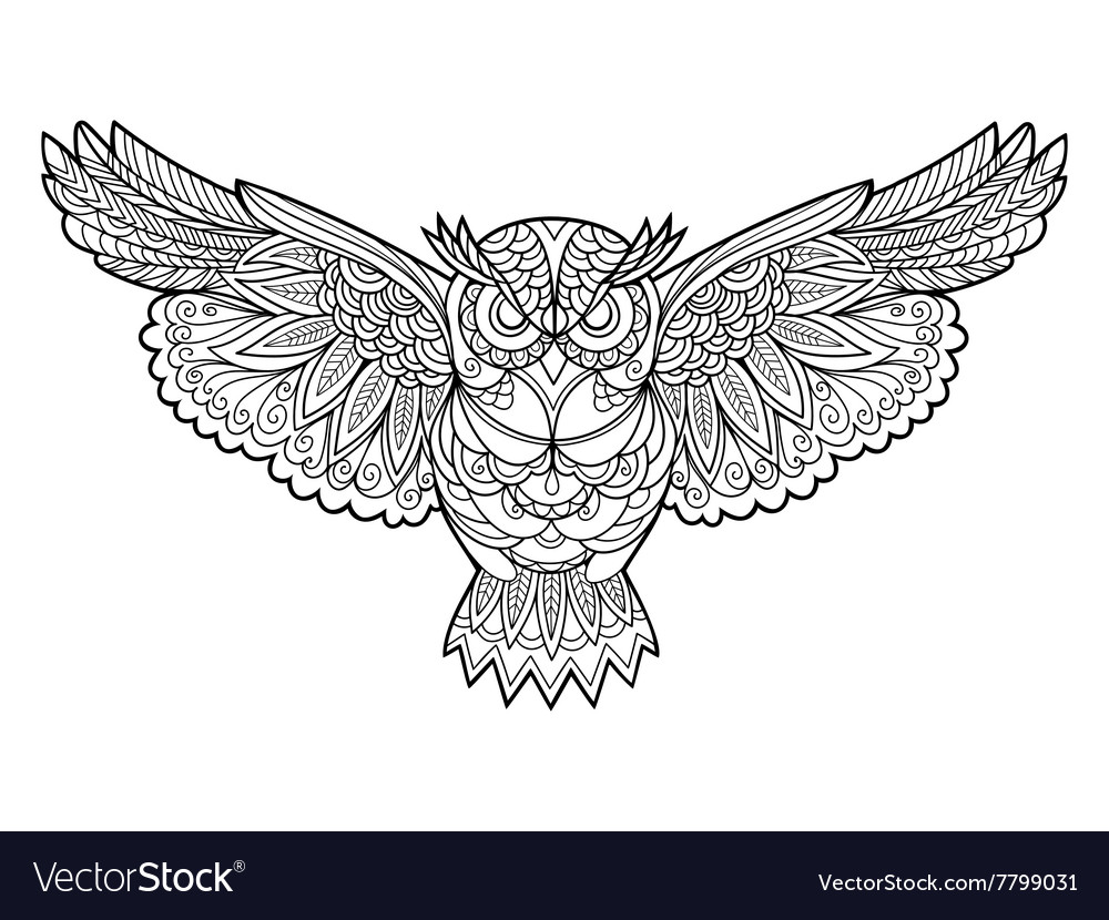 Owl coloring book for adults royalty free vector image