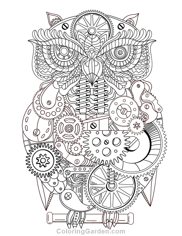 Steampunk owl adult coloring page