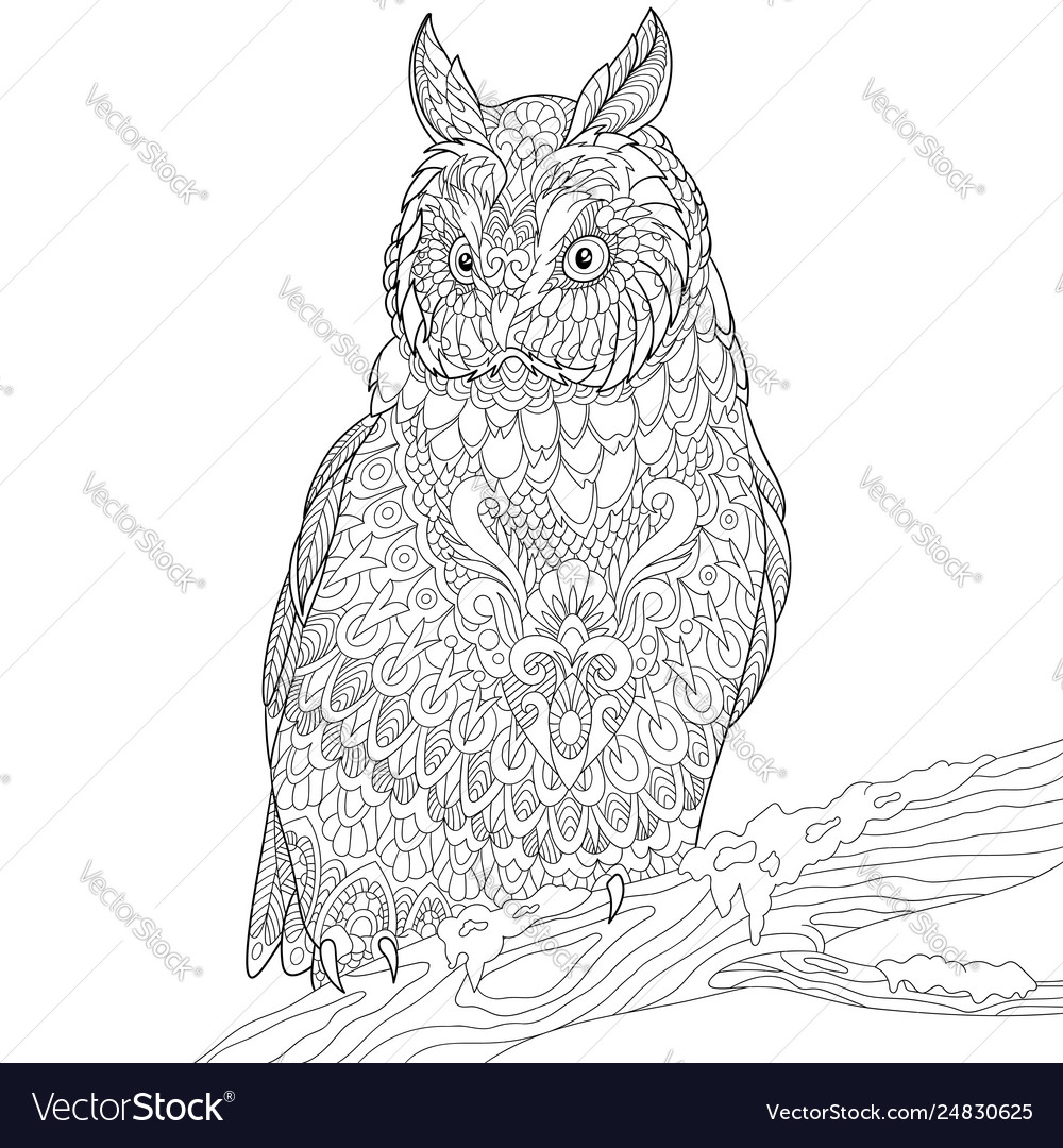 Owl adult coloring page royalty free vector image