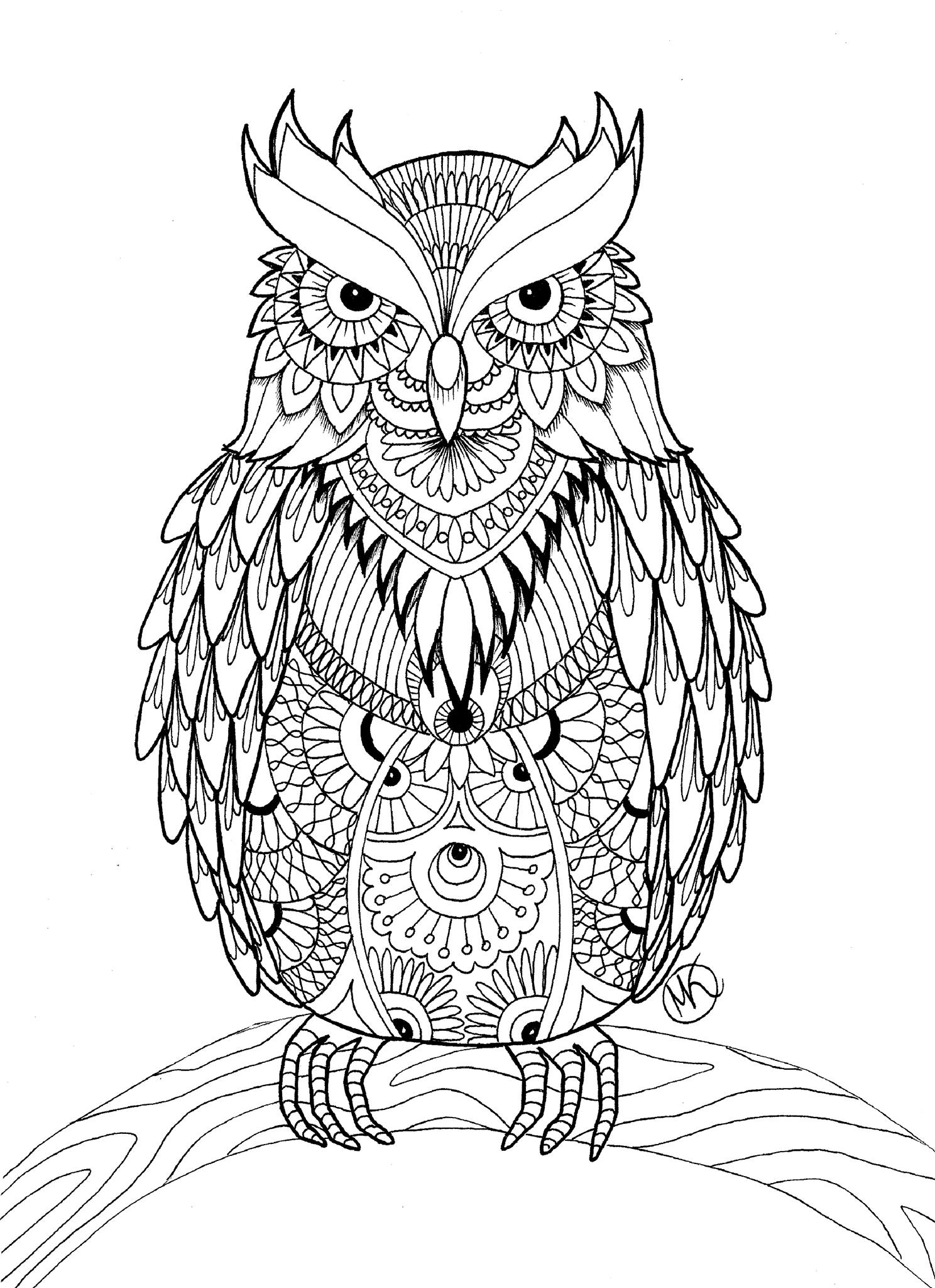 Owl coloring pages for adults free detailed owl coloring pages