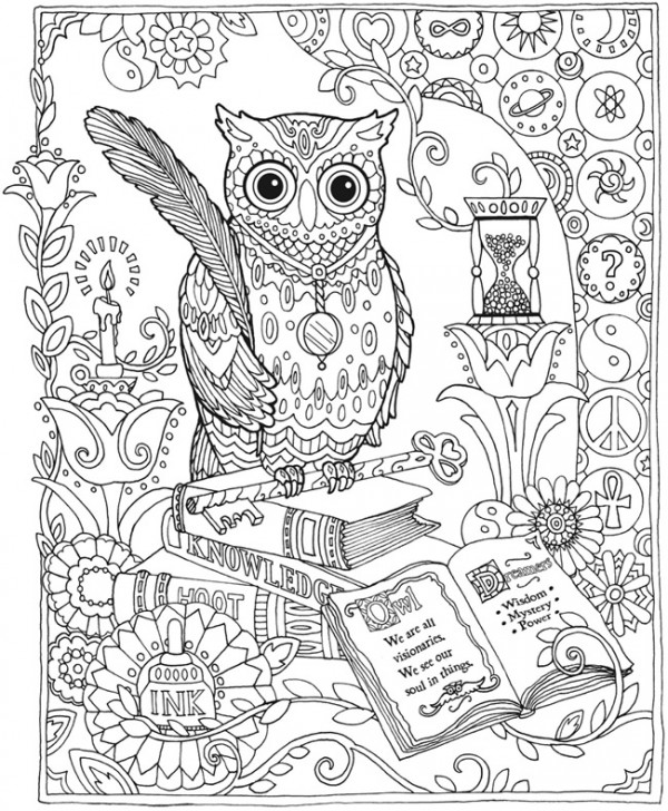 Freebie owl coloring page â