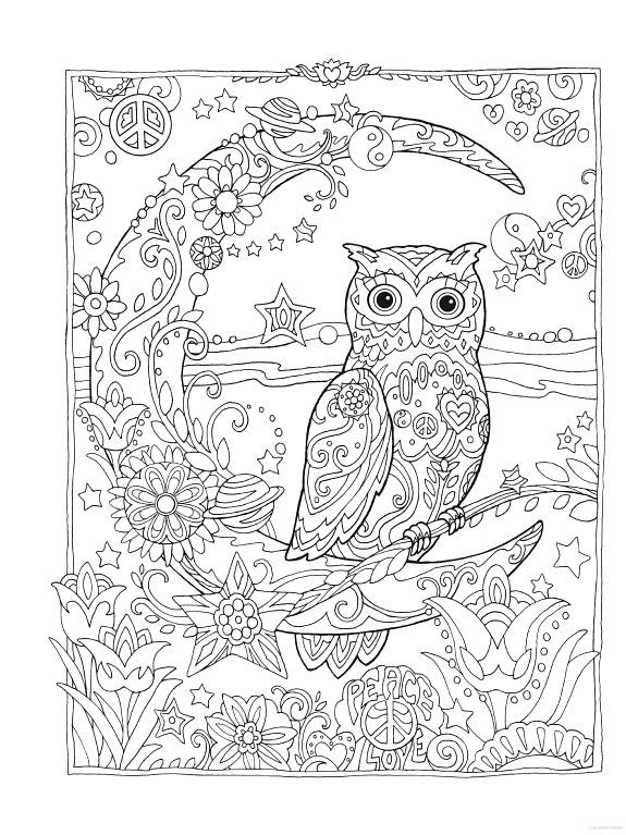 Owl coloring pages for adults free detailed owl coloring pages owl coloring pages detailed coloring pages space coloring pages