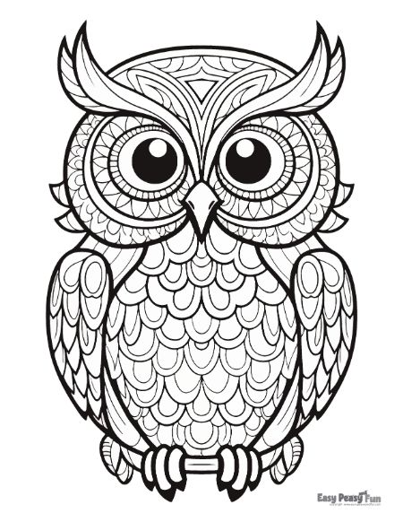 Owl coloring pages â printable sheets