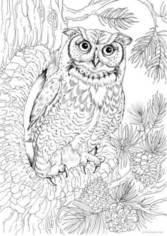 Owl printable adult coloring page from favoreads coloring book pages for adults and kids coloring sheets coloring designs download now