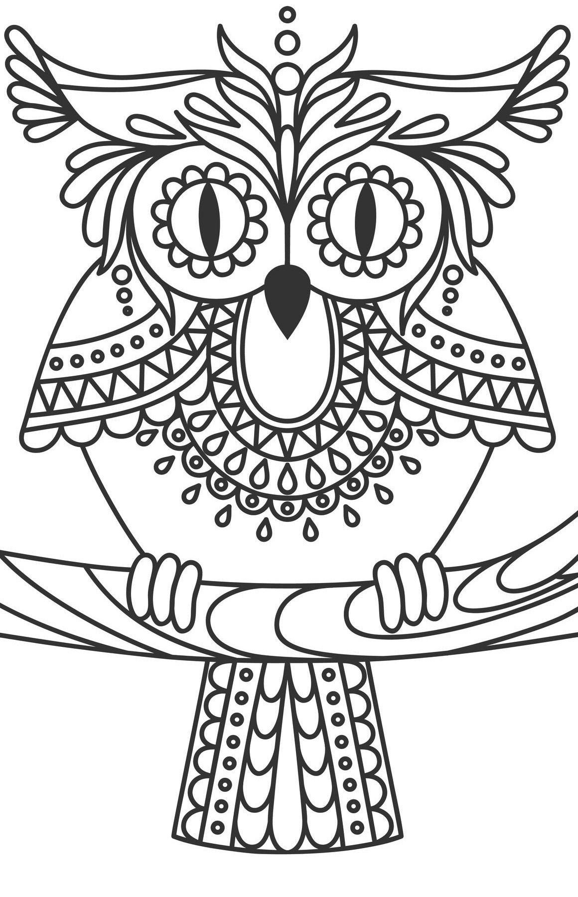 Large print owls pdf coloring book for beginners seniors or visually â rachel mintz coloring books