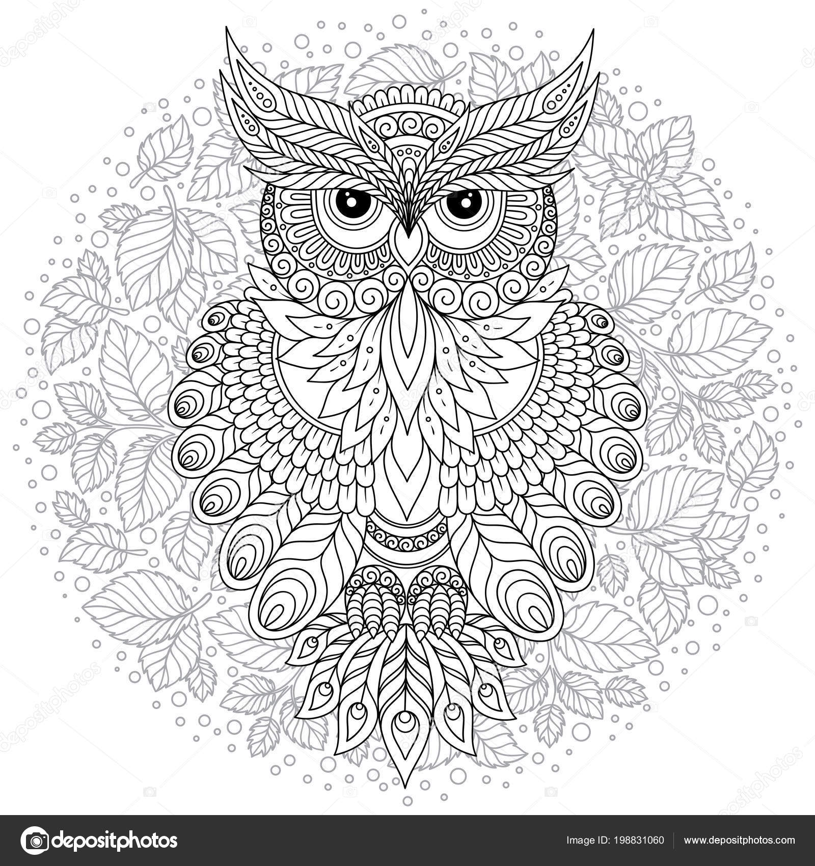 Coloring book adult older children coloring page cute owl floral stock vector by karpenyuk