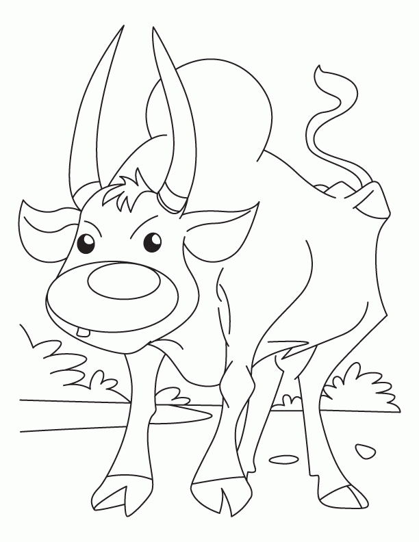 Free ox coloring page download free ox coloring page png images free cliparts on clipart library