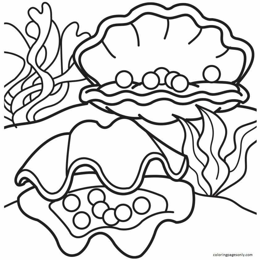 Clam coloring pages printable for free download