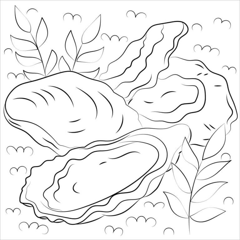 Three seashells coloring page