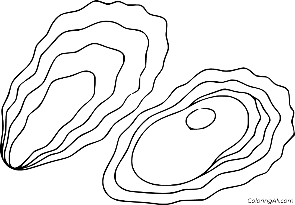 Free printable oyster coloring pages in vector format easy to print from any device and automatically fit any paper sizâ coloring pages oysters shell drawing