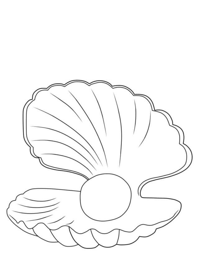 Shell with pearl coloring page