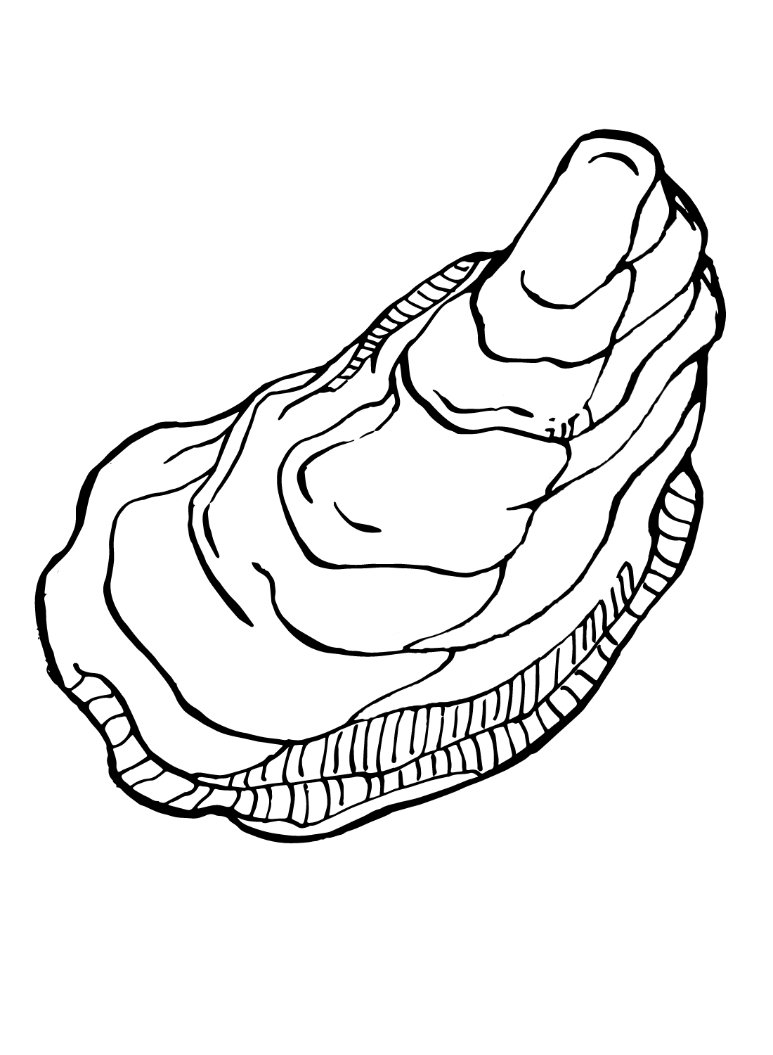 Oyster coloring pages printable for free download