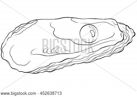 Oyster shell pearl vector photo free trial bigstock