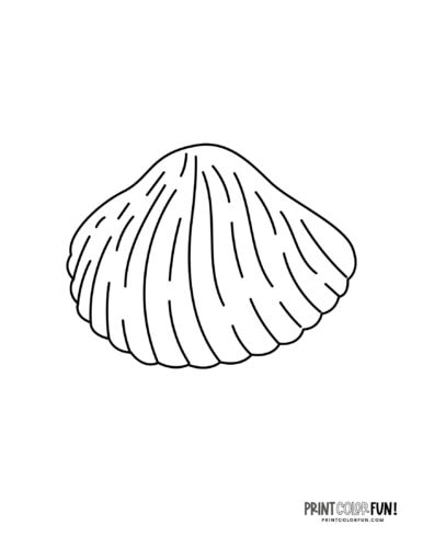 Sea shells coloring pages clip art at