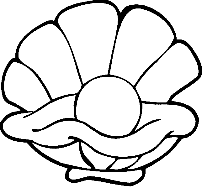 Coloring page shell nature â printable coloring pages