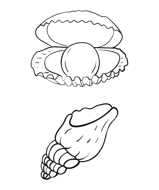 Premium vector childrens coloring book with images of seashells vector illustration hand drawing