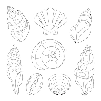 Page oyster shell drawing images