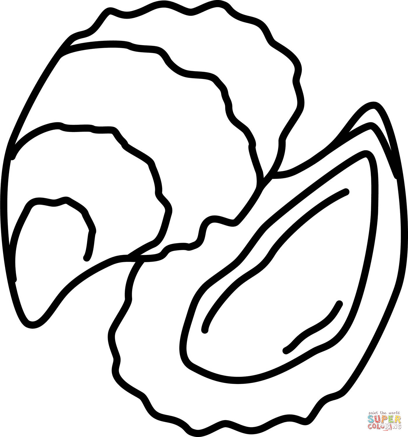 Oyster coloring page free printable coloring pages