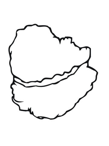 Oyster shell coloring page free printable coloring pages