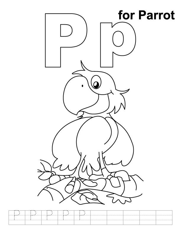 P for parrot coloring page with handwriting practice download free p for parrot coloring â alphabet coloring pages alphabet coloring kids handwriting practice